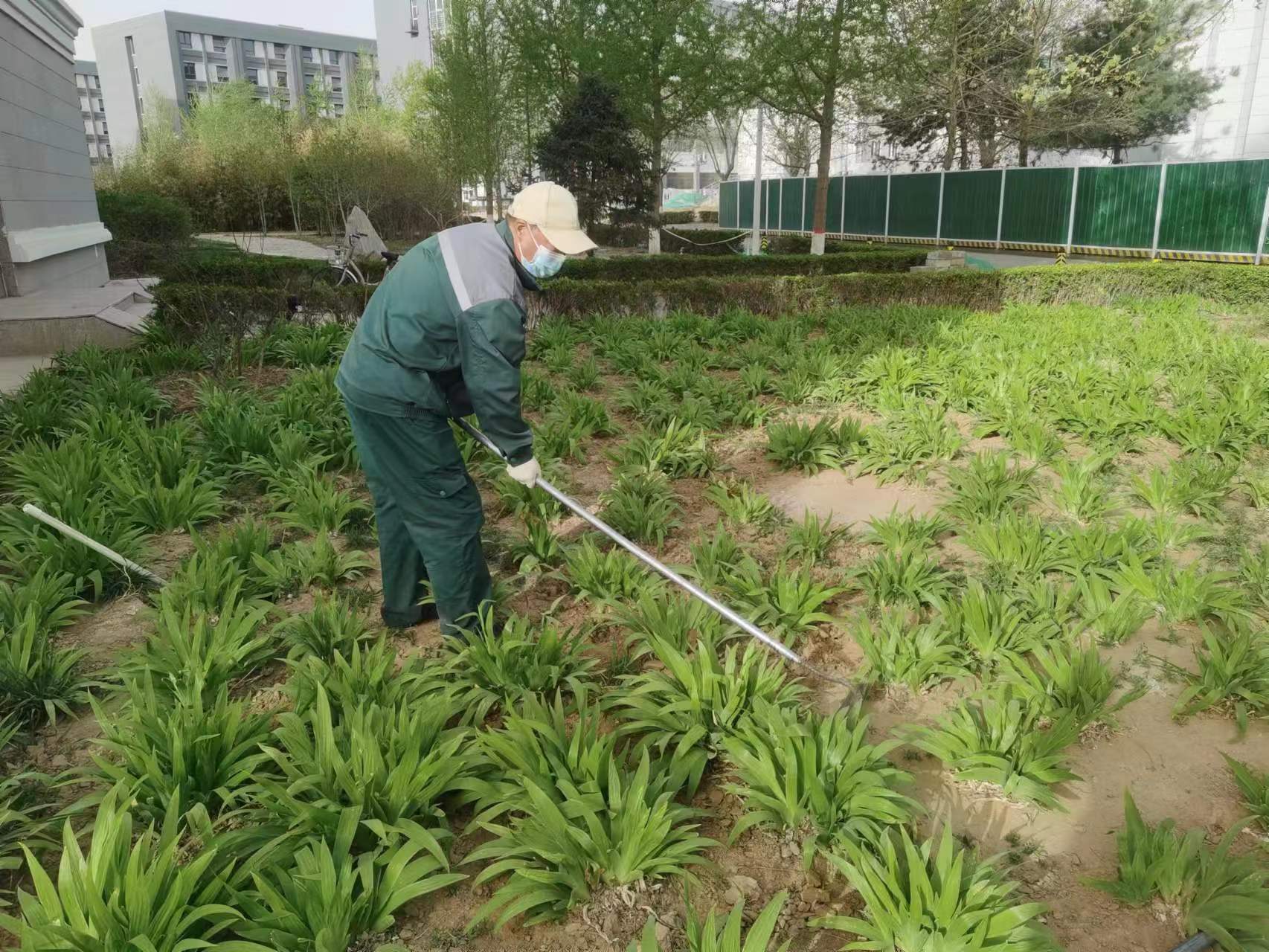 除草